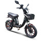 BICIMOTO GRILLO 2000W PRO MAX PLUS