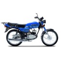 Suzuki AX100