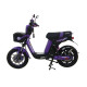 BICIPOWER TOPMAQ 45AH