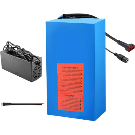 BATERÍA DE LITIO Ebike 48V 20Ah