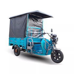 Triciclo Eléctrico Mishozuki