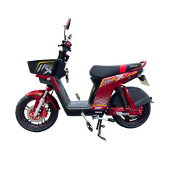 BICIPOWER EVOLUTION 48V 45Ah