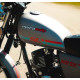 MURASAKI KAWI 150cc