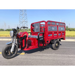 Bryderk 3000W 72V 60AH