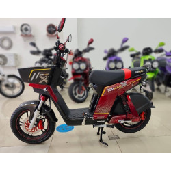 BICIPOWER EVOLUTION 48V 45Ah