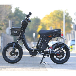 Bicimoto YOAZAKY 48V 45Ah